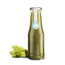 Grüner Smoothie